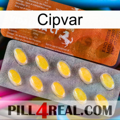 Cipvar 42